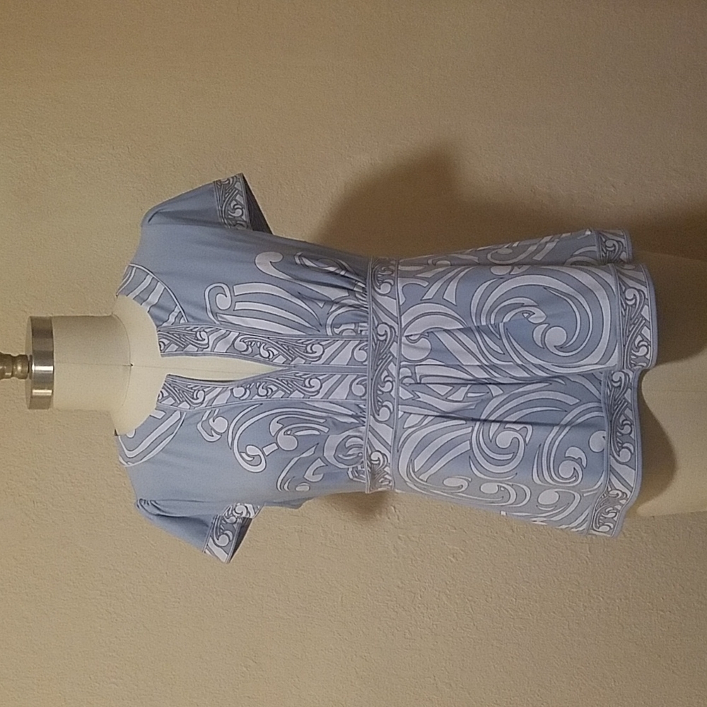 BCBGMaxAzira- "Frost" short sleeve dropped empire waist v-neck top.